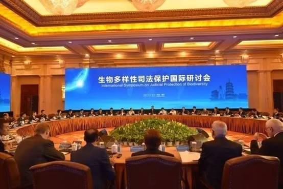 1505696153114765.jpg 640.webp.jpg